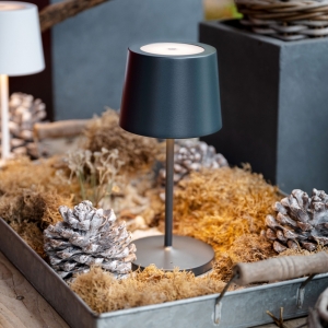 GO Mini - Orange One Lampen Bild